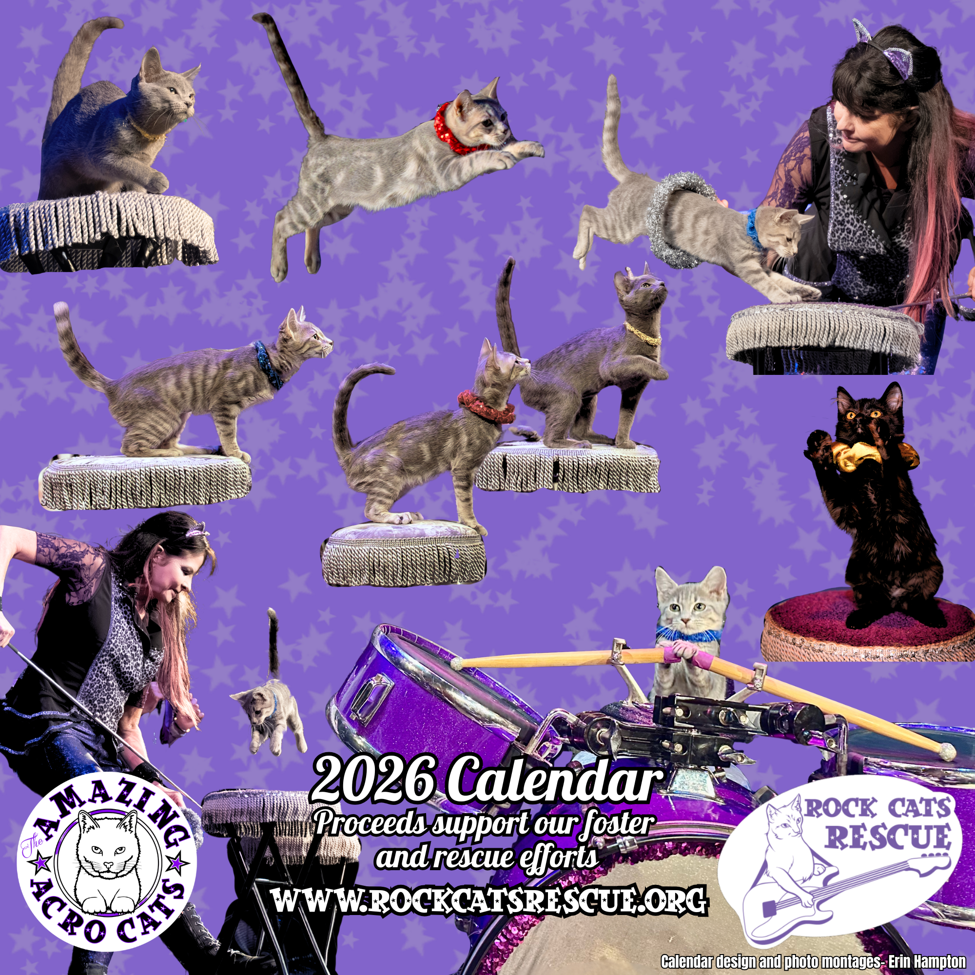 シャムキャッツ 2014ツアーパンフレット シャムキャッツ名義最後の展覧会 『Siamese Cats Farewell Exhibition